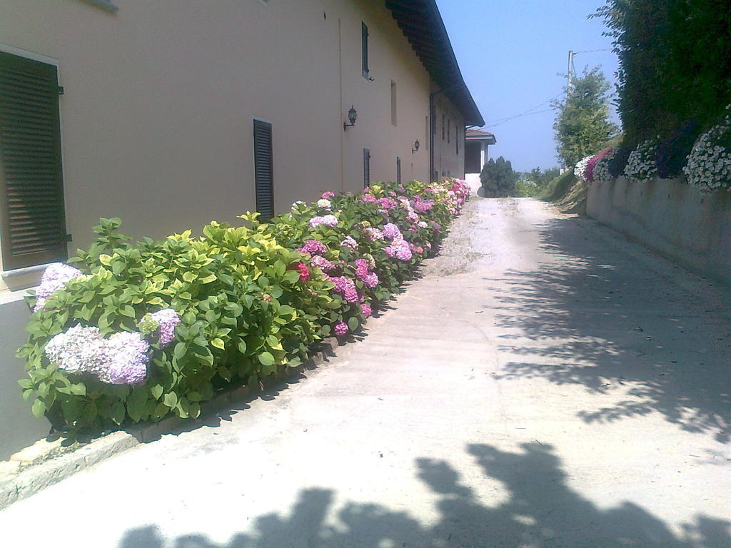 Cascina La Corte Bed & Breakfast Neive Exterior photo